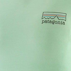 Capilene Cool Merino Graphic T-Shirt - Women's