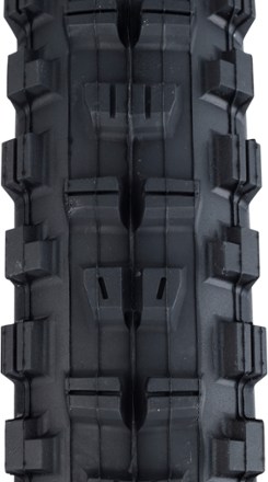 Minion DHR II 3C MaxxTerra EXO Tire - 29 x 2.3