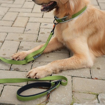 Flagstaff Reflective Comfort Adjustable Dog Collar