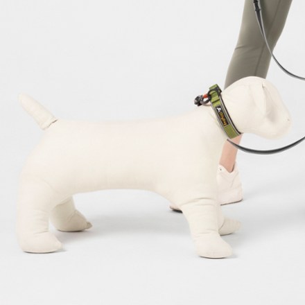 Flagstaff Reflective Comfort Adjustable Dog Collar