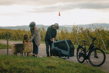Bark Ranger Bike Trailer