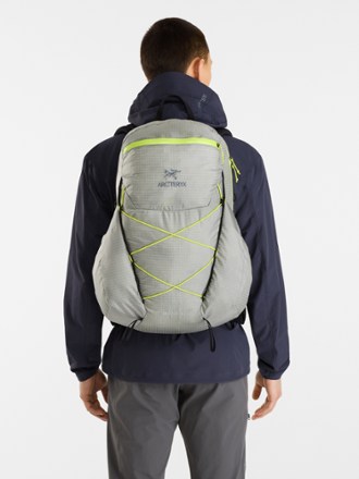 Aerios 30 Pack - Men's
