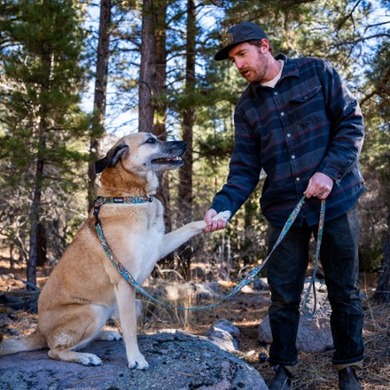 WildWolf Leash