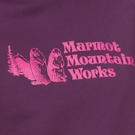 Marmot Mountain Works Hoody - Women's