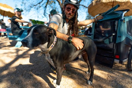 Bark Ranger Bike Trailer