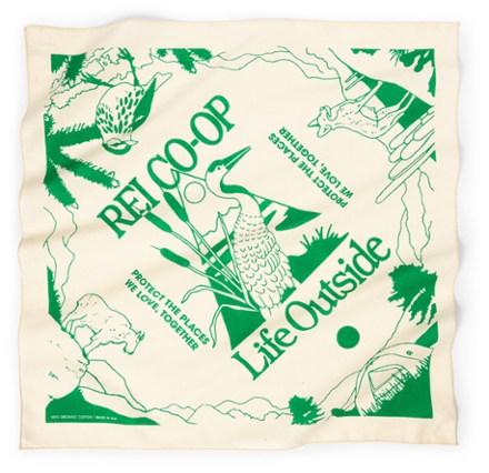 Graphic Bandana