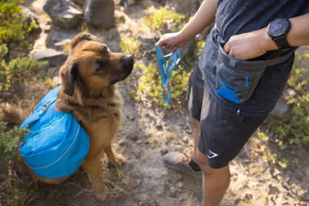 Treat Trader Pouch