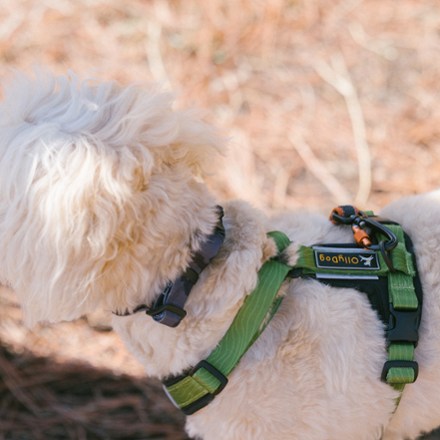 Alpine Reflective Comfort Dog Harness