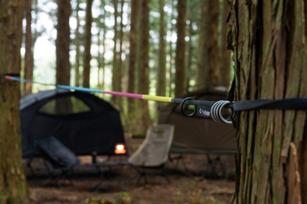 StringTrees Game