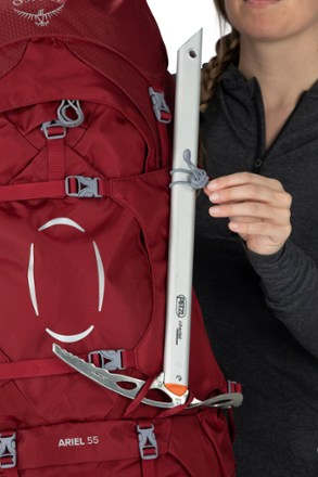 Ariel 55 Pack