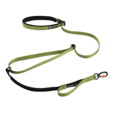 Flagstaff Adjustable Spring Dog Leash