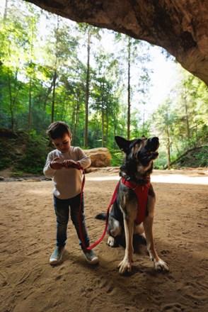 Front Range Leash