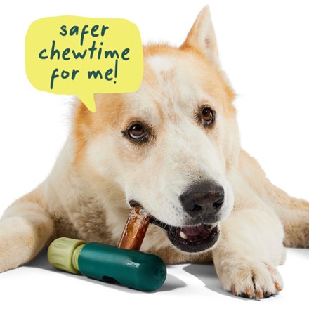 BullySafe Dog Toy