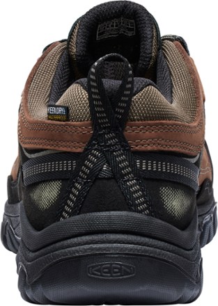 Targhee IV Waterproof Hiking Shoes - Men's