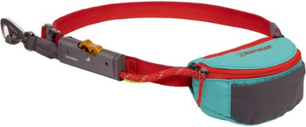 Hitch Hiker Leash