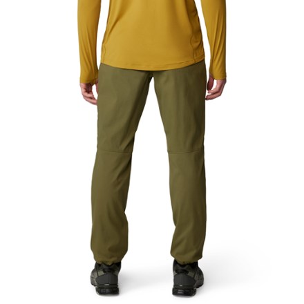 Hardwear AP Active Crossover Pants - Men's