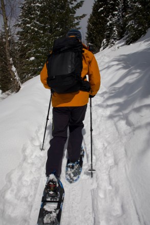 Access Snowshoes