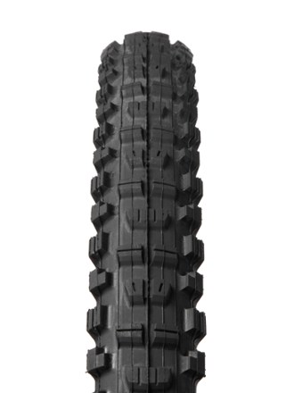 Minion DHR II EXO/TR Tire