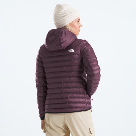 Terra Peak Insulated Hoodie - Women's