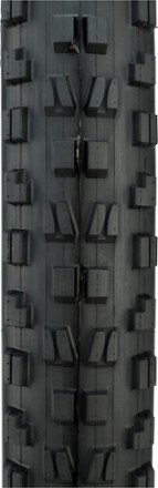 Minion DHF EXO Tire