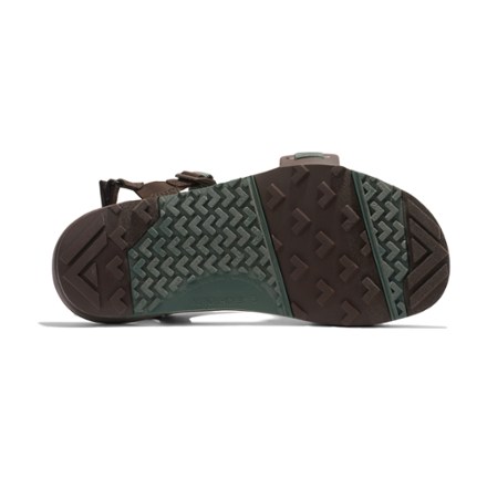 Z-Trail EV Sandals - Men's