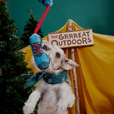 Great Outdoors Plus Dog Toy