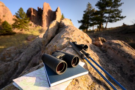 Prostaff P7 10 x 42 Binoculars
