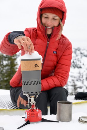 Switch Stove System