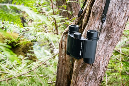 Stabilized 12 x 25 S Binoculars