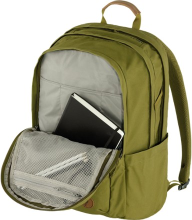 Raven 28 Pack