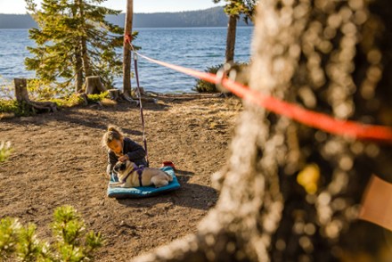 Knot-a-Hitch Campsite Dog-Hitching System