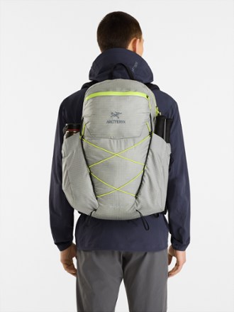 Aerios 30 Pack - Men's