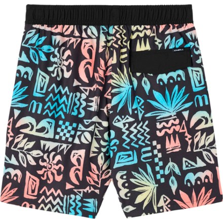 Hermosa Light Lined Volley 16" Board Shorts - Boys'