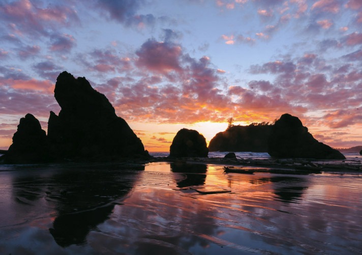 Gorgeous sea stacks dot the picturesque shoreline of Olympic National Park.
