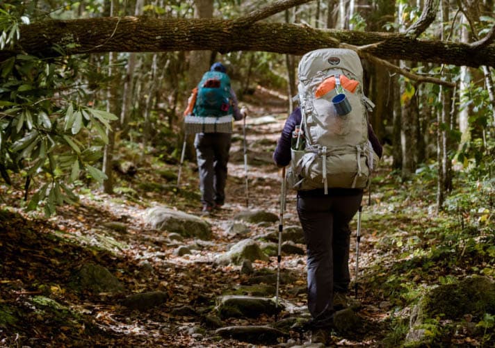 We spend four days backpacking through a diverse range of scenery, from rocky ridges to lush canopy forests.