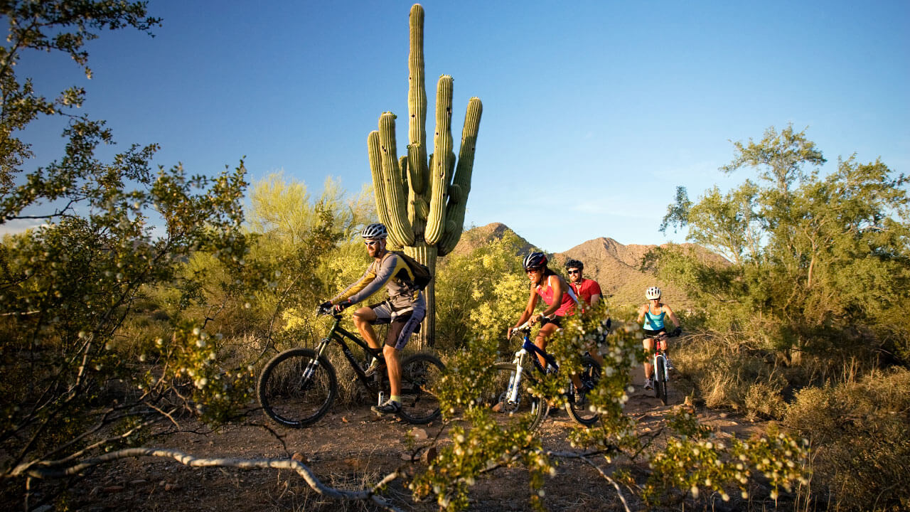 Arizona Sonoran Desert Weekend Mountain Biking