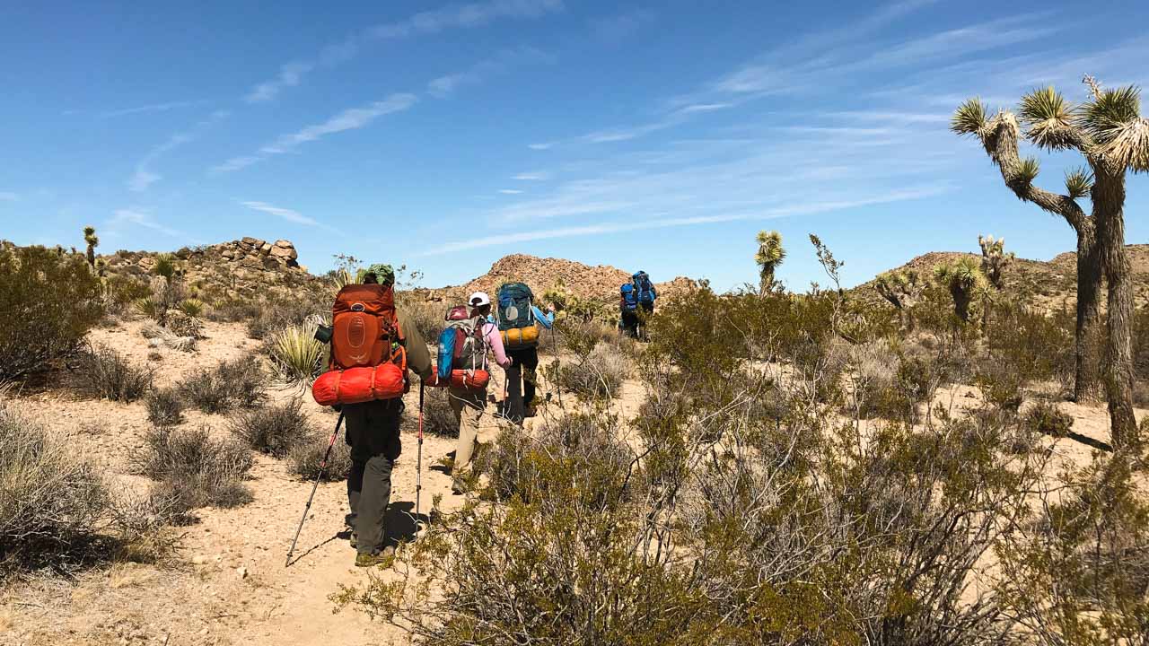 Backpacking Joshua Tree National Park