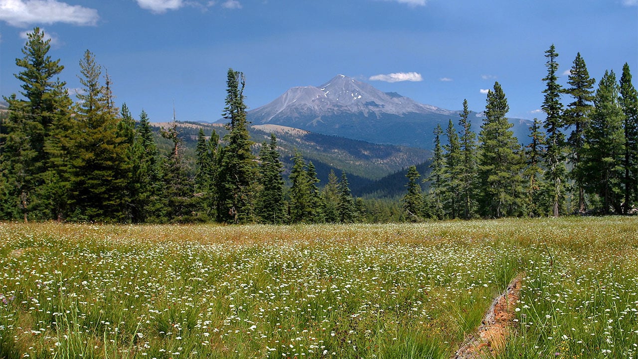 Pacific Crest Trail Oregon Hiking and Backpacking Tour