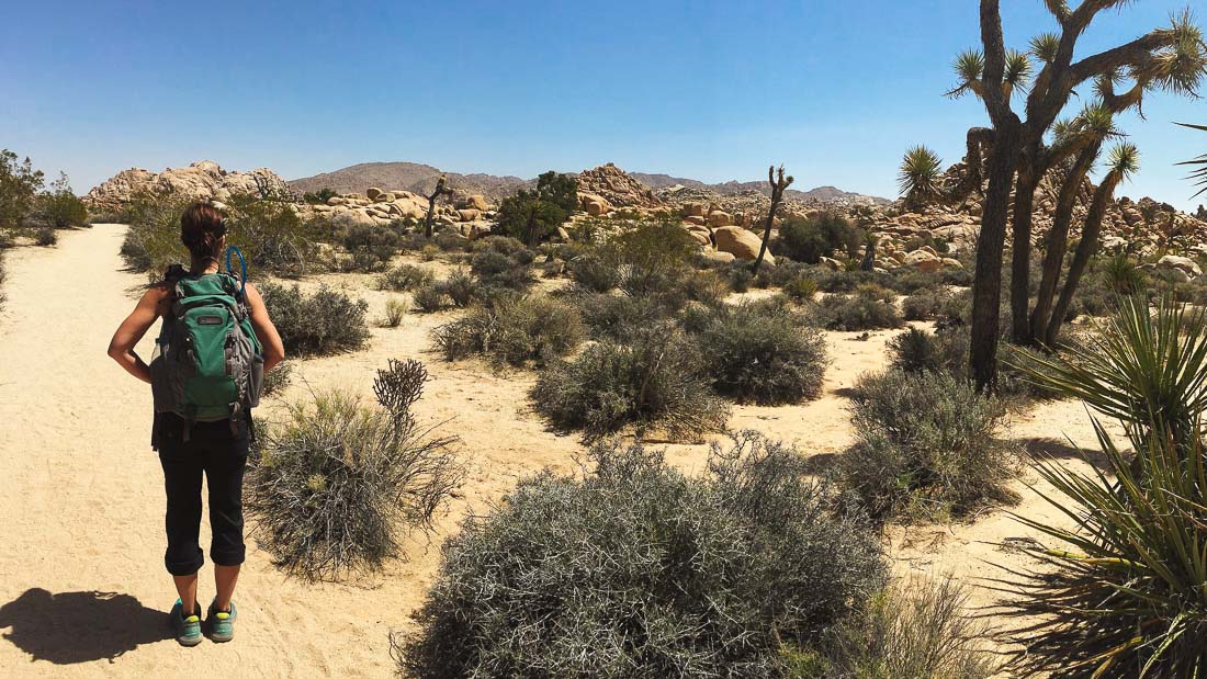 Joshua Tree Women s Backpacking