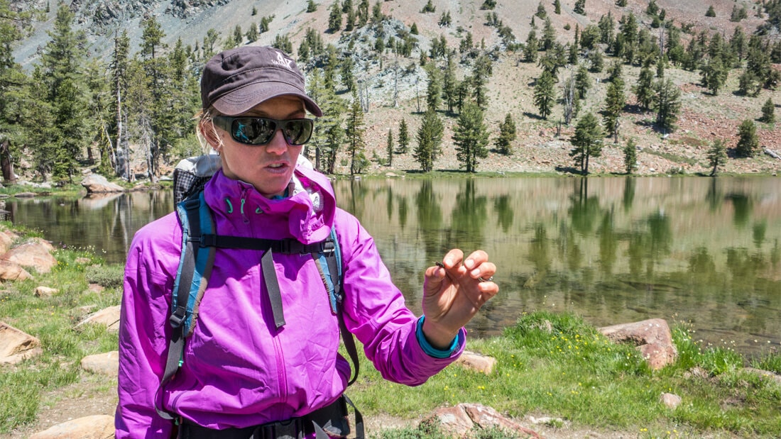 Pacific crest trail guided on sale tours
