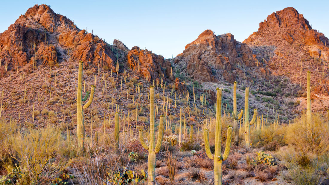 Hiking sonoran on sale desert national monument