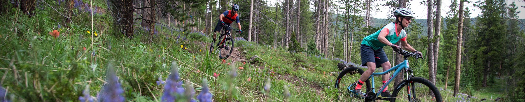 Two mountain bikers navigate through spring wildflowers