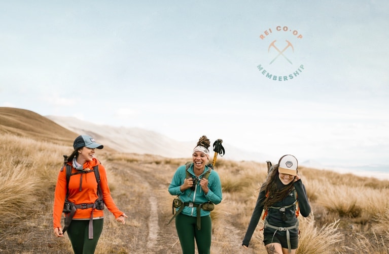 rei tune up cost