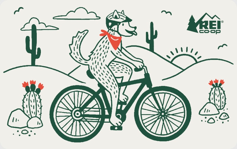 Cycle REI E-Gift Card