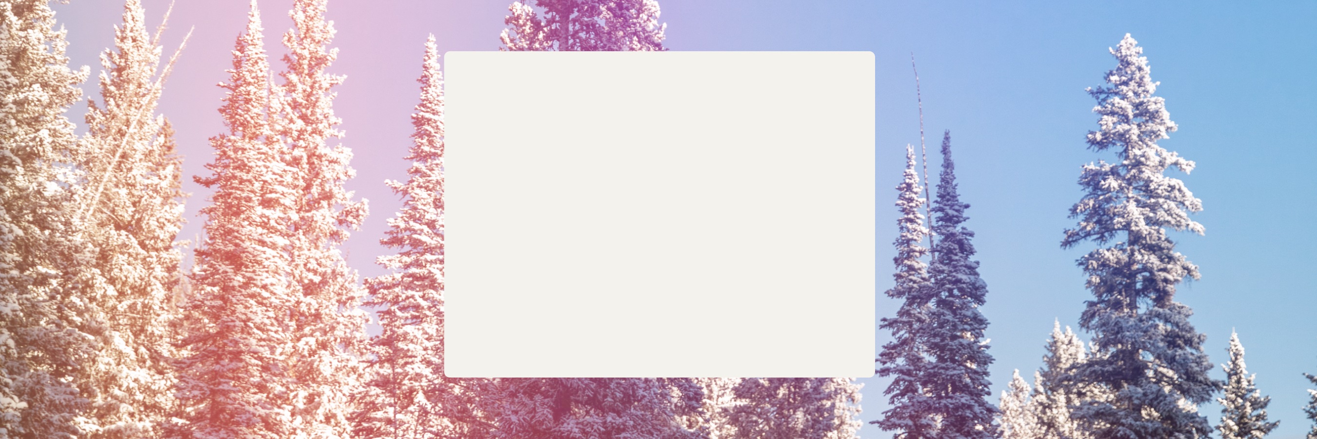 Snow-capped trees. Text reads, holiday deals, up to 50 percent off.