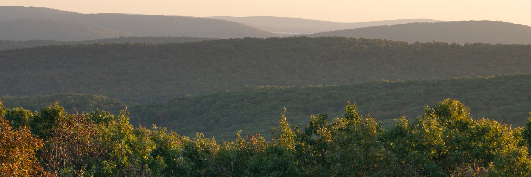 An elevated view of a sprawling green forest spread over rolling hills at the golden hour. Text reads, up to seventy percent off.
