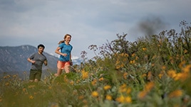 A group of runners jog through a field of yellow flowers on an alpine trail.