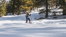 Novara madrona 27.5 deals