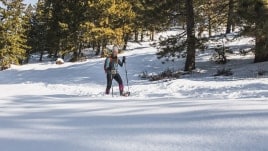 Snowshoeing through powder on a bluebird day.