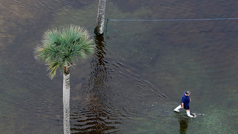 A solitary person treads through a vast swath of ankle-deep water past two tall palm trees, an outcome of local flooding in Charleston, South Carolina.